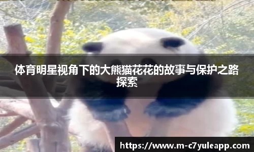 体育明星视角下的大熊猫花花的故事与保护之路探索